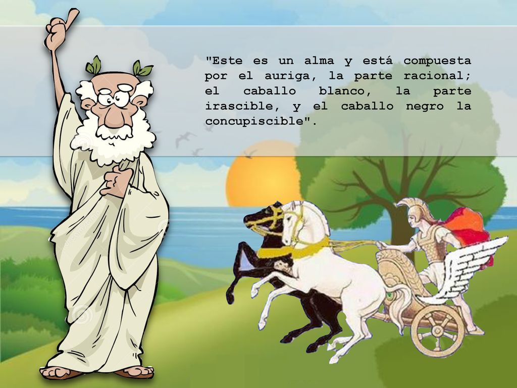 Este es un alma y está compuesta por el auriga, la parte racional; el caballo blanco, la parte irascible, y el caballo negro la concupiscible .
