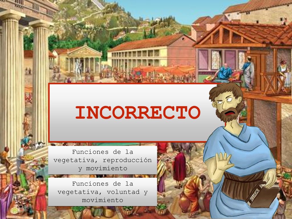 INCORRECTO Funciones de la vegetativa, reproducción y movimiento