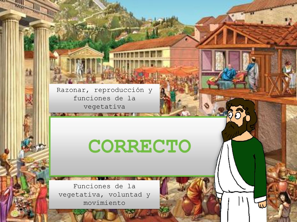 CORRECTO Razonar, reproducción y funciones de la vegetativa