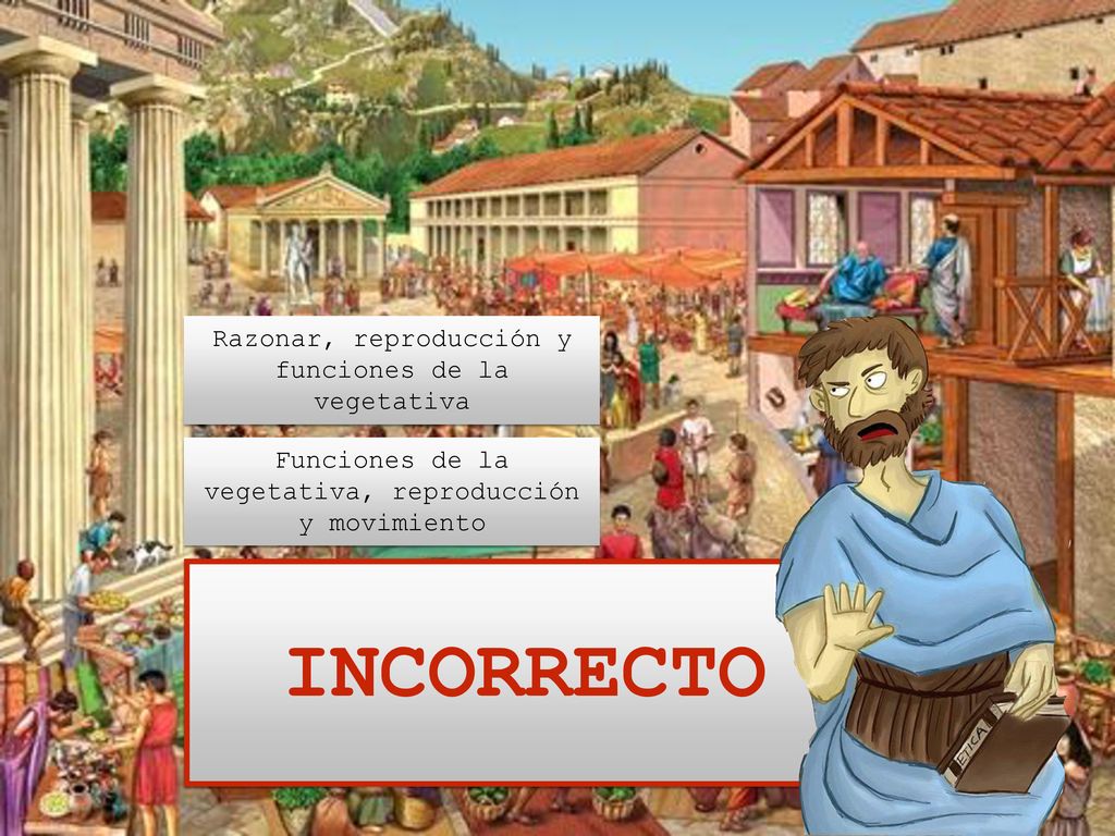 INCORRECTO Razonar, reproducción y funciones de la vegetativa