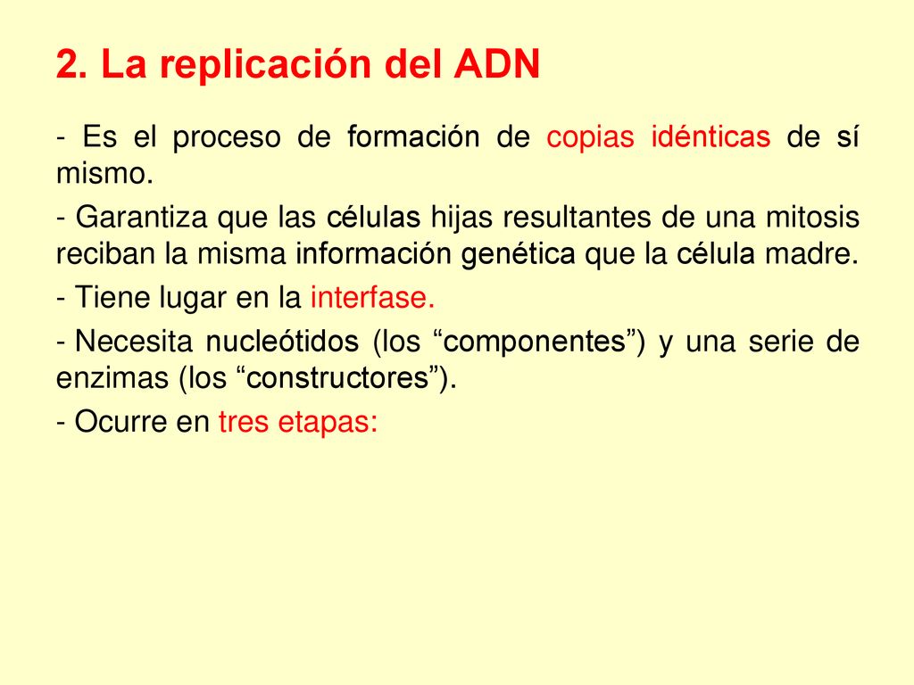 2. La replicación del ADN - Es el proceso de formación de copias idénticas de sí mismo.