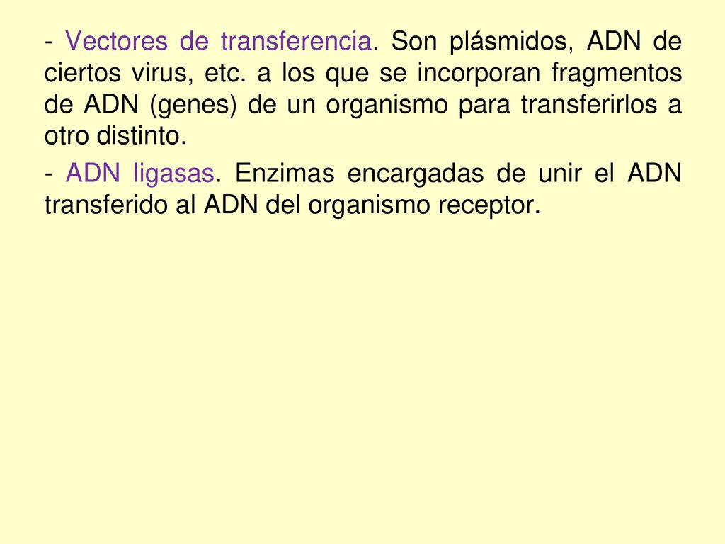 - Vectores de transferencia. Son plásmidos, ADN de ciertos virus, etc