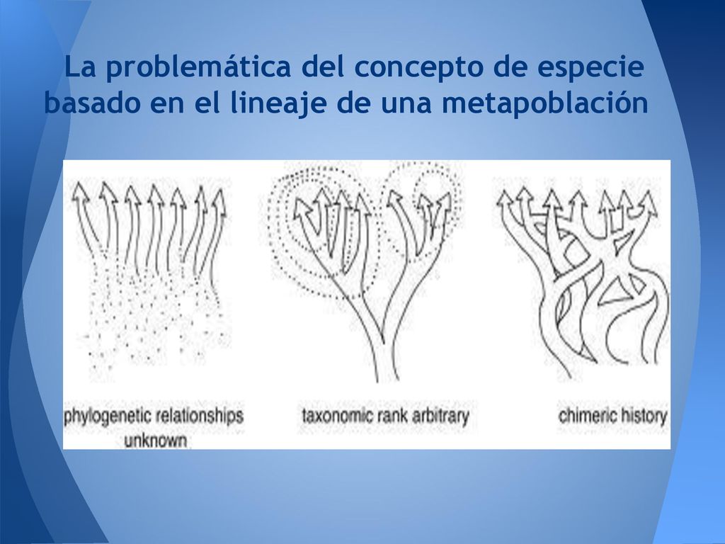 La problemática del concepto de especie basado en el lineaje de una metapoblación