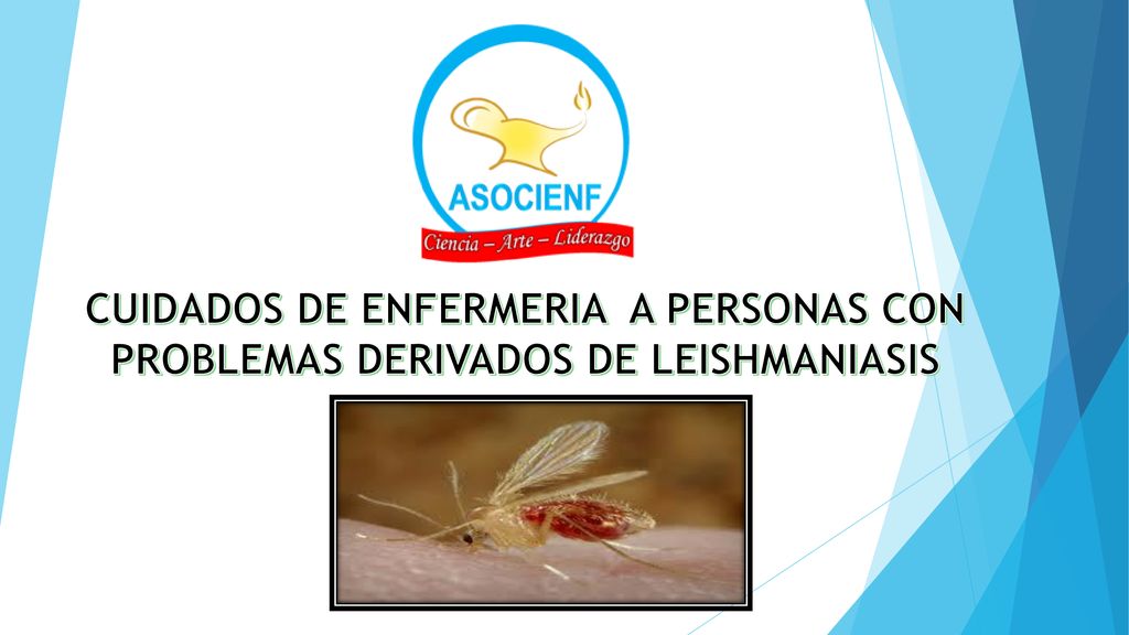 CUIDADOS DE ENFERMERIA A PERSONAS CON PROBLEMAS DERIVADOS DE LEISHMANIASIS