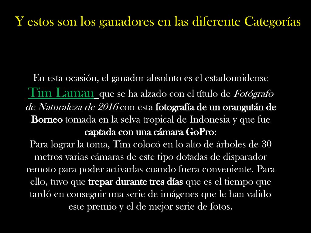 Y estos son los ganadores en las diferente Categorías