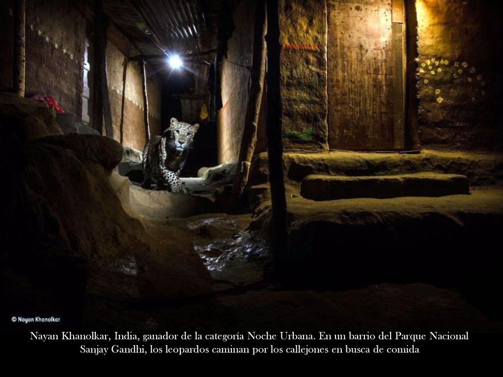 Nayan Khanolkar, India, ganador de la categoría Noche Urbana