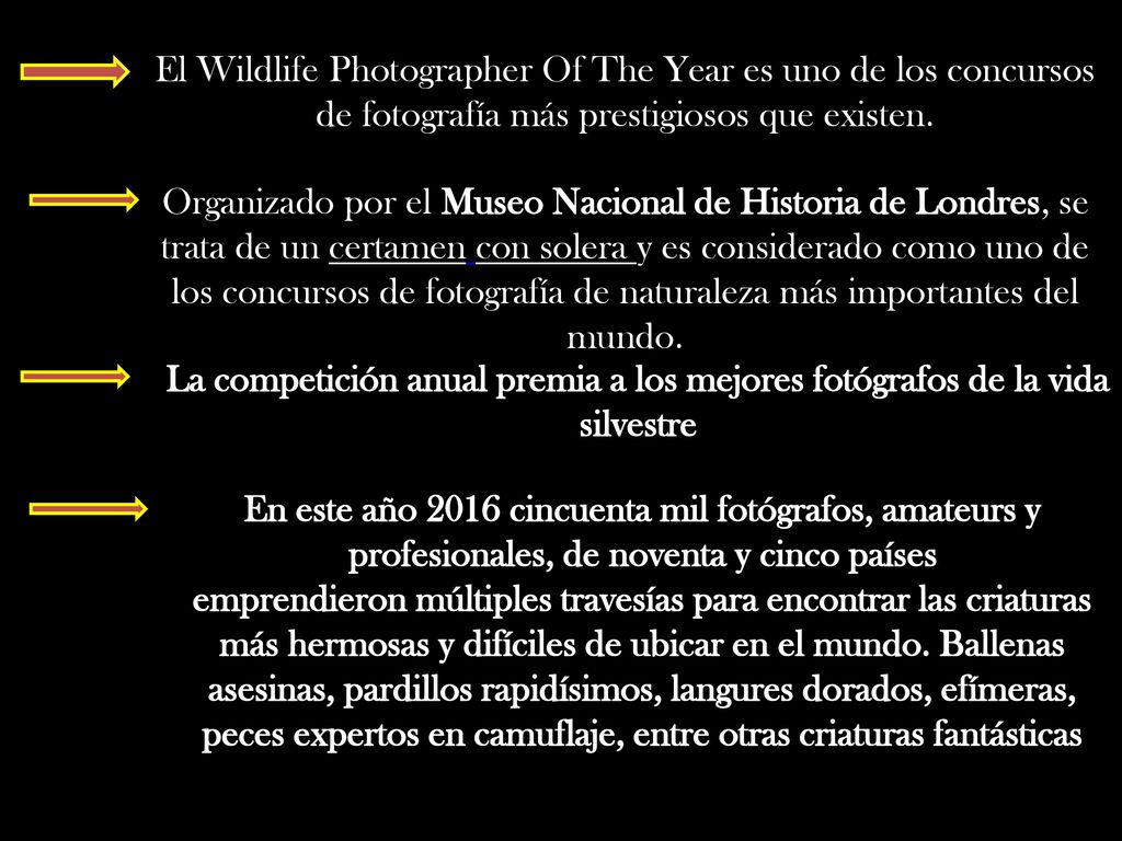 El Wildlife Photographer Of The Year es uno de los concursos de fotografía más prestigiosos que existen.