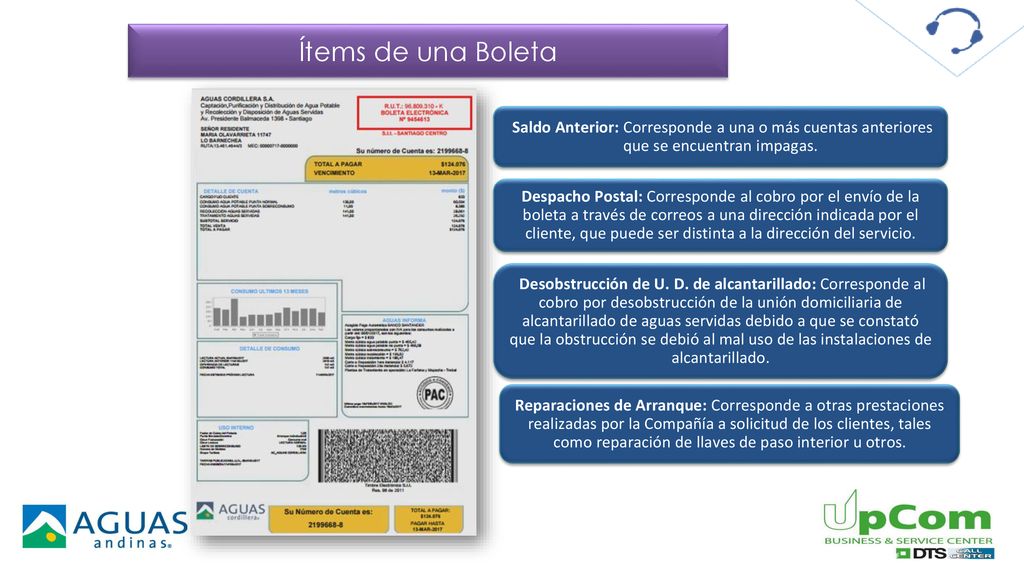 Ítems de una Boleta Saldo Anterior: Corresponde a una o más cuentas anteriores que se encuentran impagas.