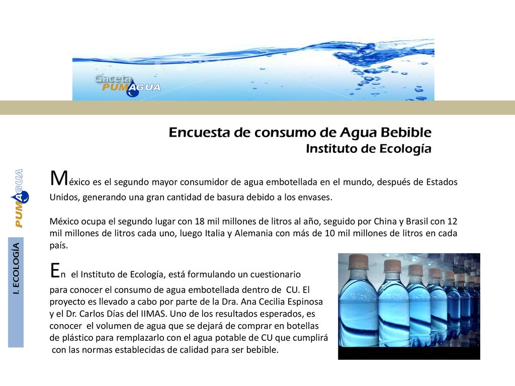 En el Instituto de Ecología, está formulando un cuestionario