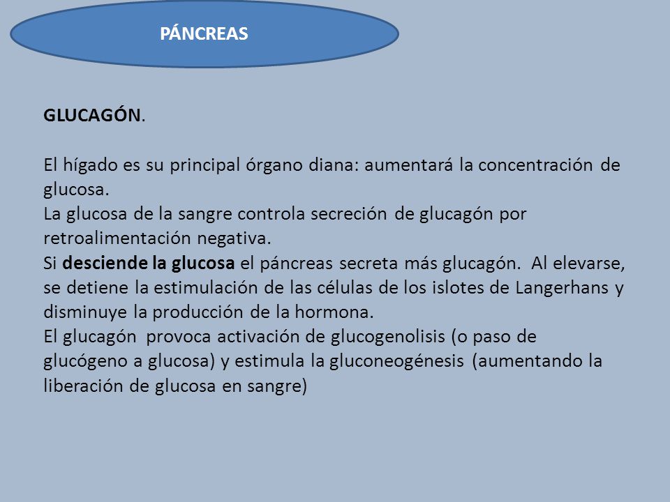 PÁNCREAS GLUCAGÓN. El hígado es su principal órgano diana: aumentará la concentración de glucosa.