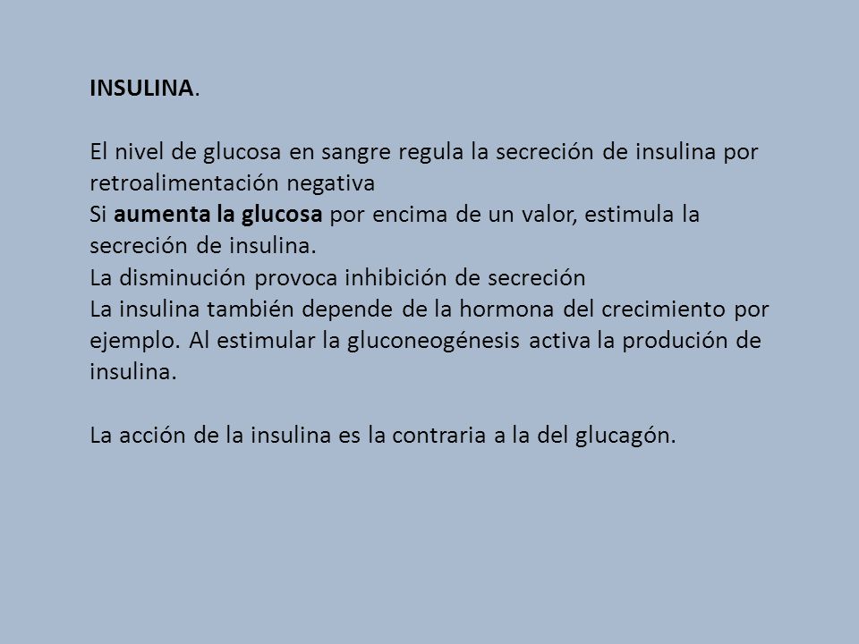 INSULINA. El nivel de glucosa en sangre regula la secreción de insulina por retroalimentación negativa.