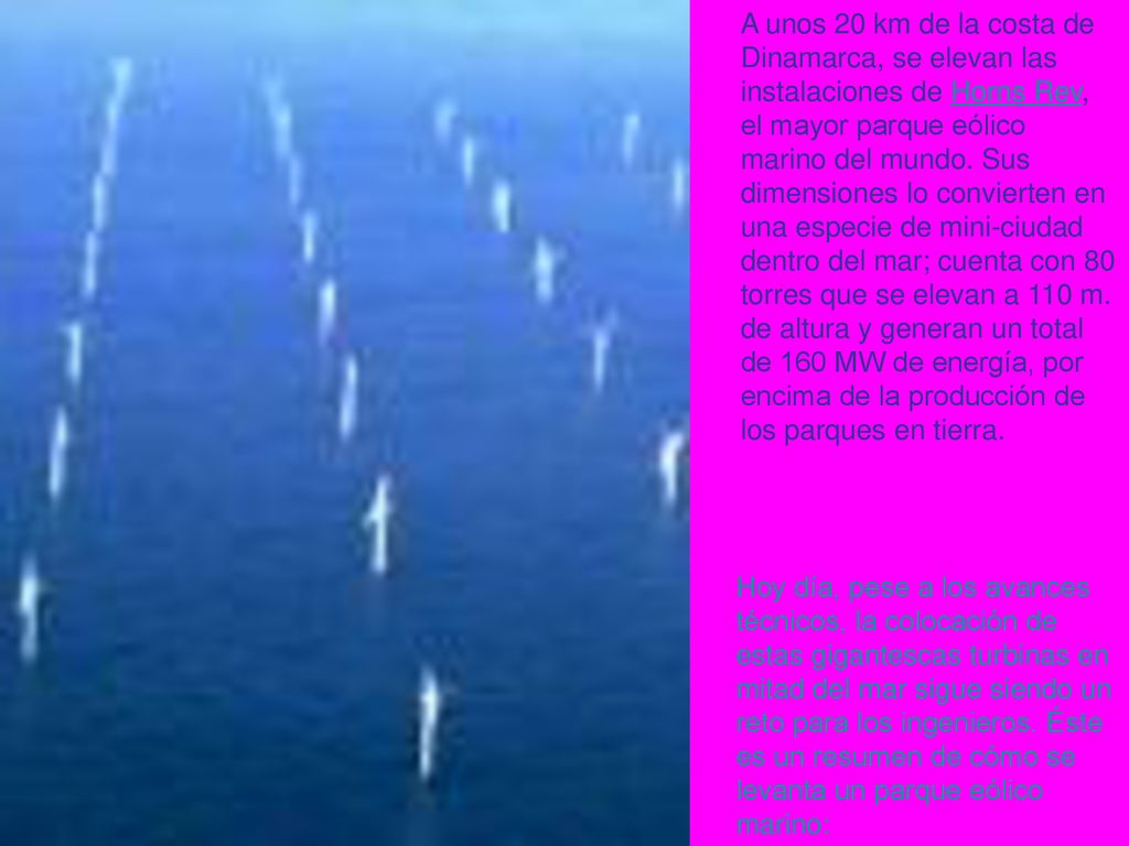 A unos 20 km de la costa de Dinamarca, se elevan las instalaciones de Horns Rev, el mayor parque eólico marino del mundo. Sus dimensiones lo convierten en una especie de mini-ciudad dentro del mar; cuenta con 80 torres que se elevan a 110 m. de altura y generan un total de 160 MW de energía, por encima de la producción de los parques en tierra.