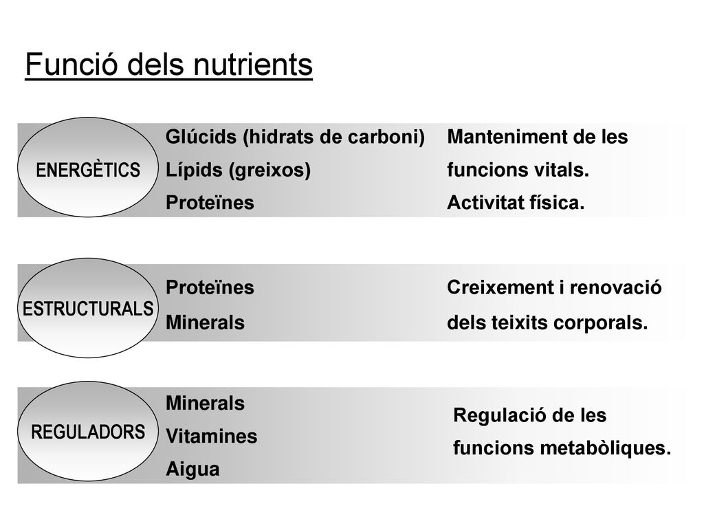 Funció dels nutrients Glúcids (hidrats de carboni) Manteniment de les