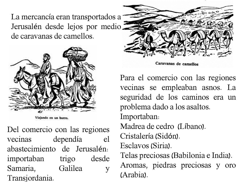 La mercancía eran transportados a Jerusalén desde lejos por medio de caravanas de camellos.