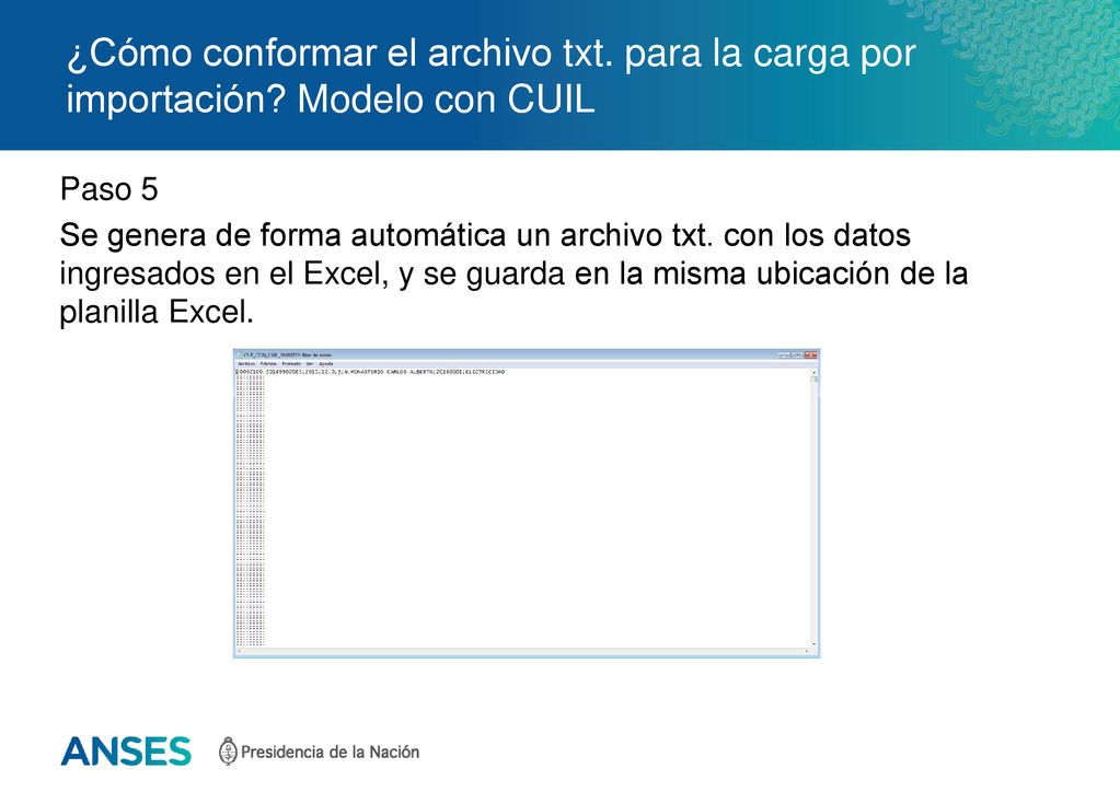 ¿Cómo conformar el archivo txt. para la carga por importación