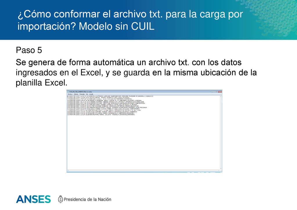 ¿Cómo conformar el archivo txt. para la carga por importación