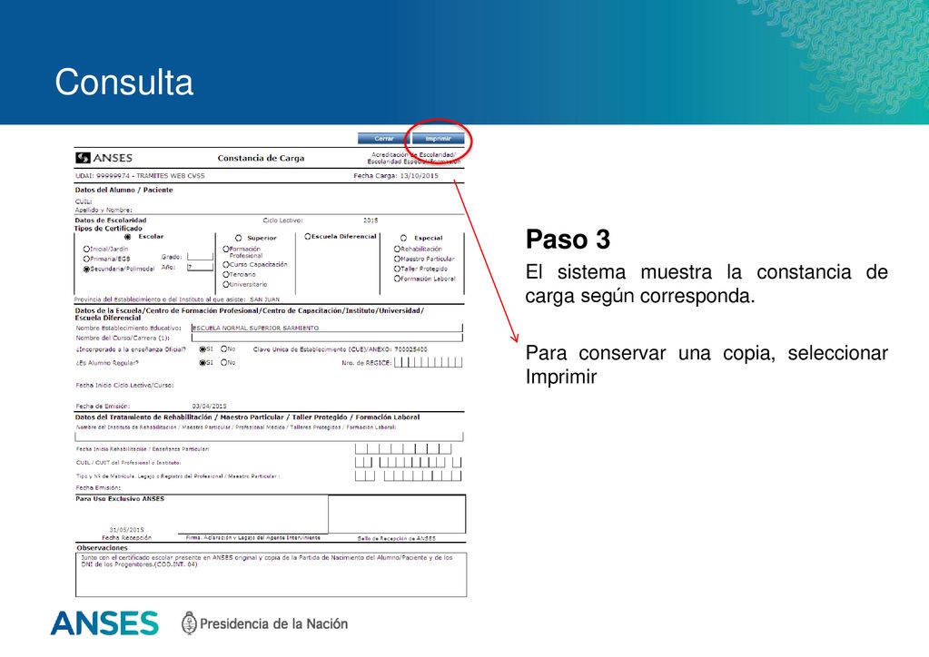 Consulta Paso 3. El sistema muestra la constancia de carga según corresponda.