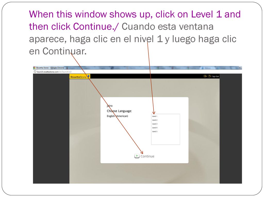 When this window shows up, click on Level 1 and then click Continue