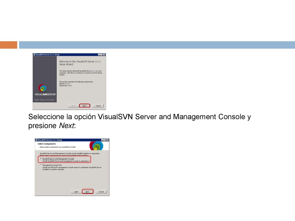 Seleccione la opción VisualSVN Server and Management Console y presione Next: