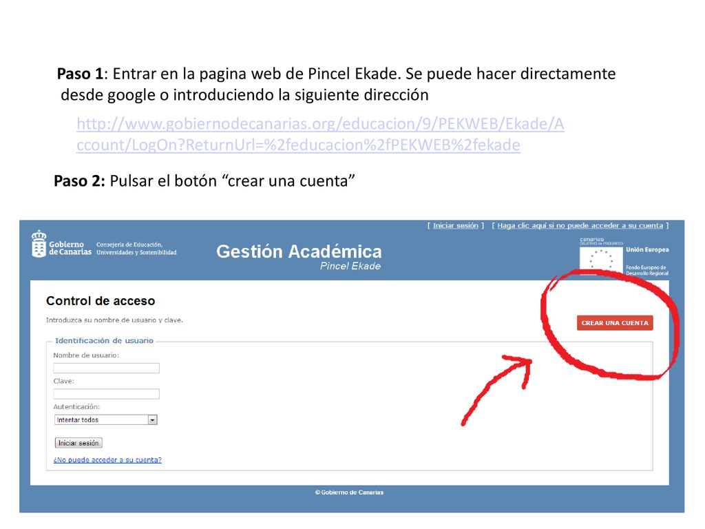 Paso 1: Entrar en la pagina web de Pincel Ekade