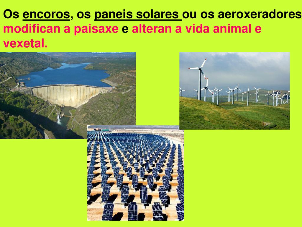 Os encoros, os paneis solares ou os aeroxeradores modifican a paisaxe e alteran a vida animal e vexetal.