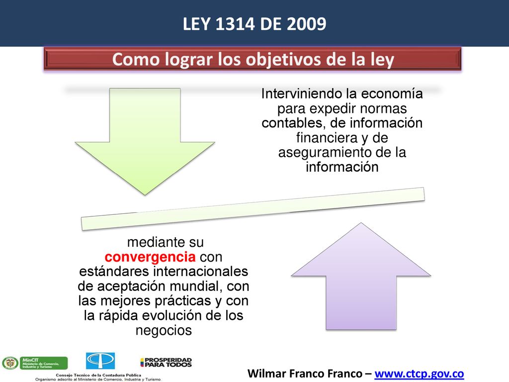 LEY 1314 DE 2009 Como lograr los objetivos de la ley