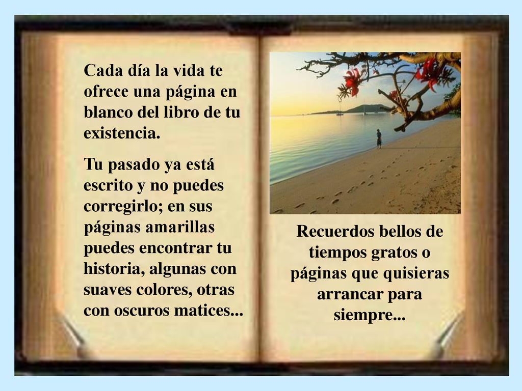 Cada día la vida te ofrece una página en blanco del libro de tu existencia.
