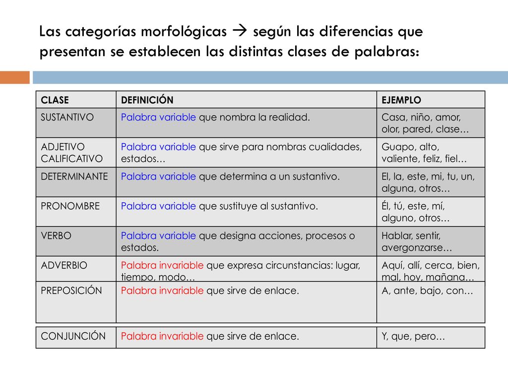 Las categorías morfológicas  según las diferencias que presentan se establecen las distintas clases de palabras: