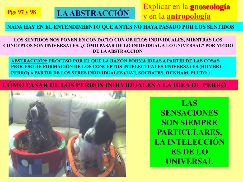 Explicar en la gnoseología y en la antropología LA ABSTRACCIÓN