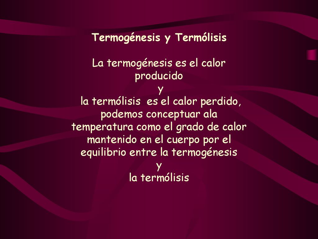 Termogénesis y Termólisis La termogénesis es el calor producido y