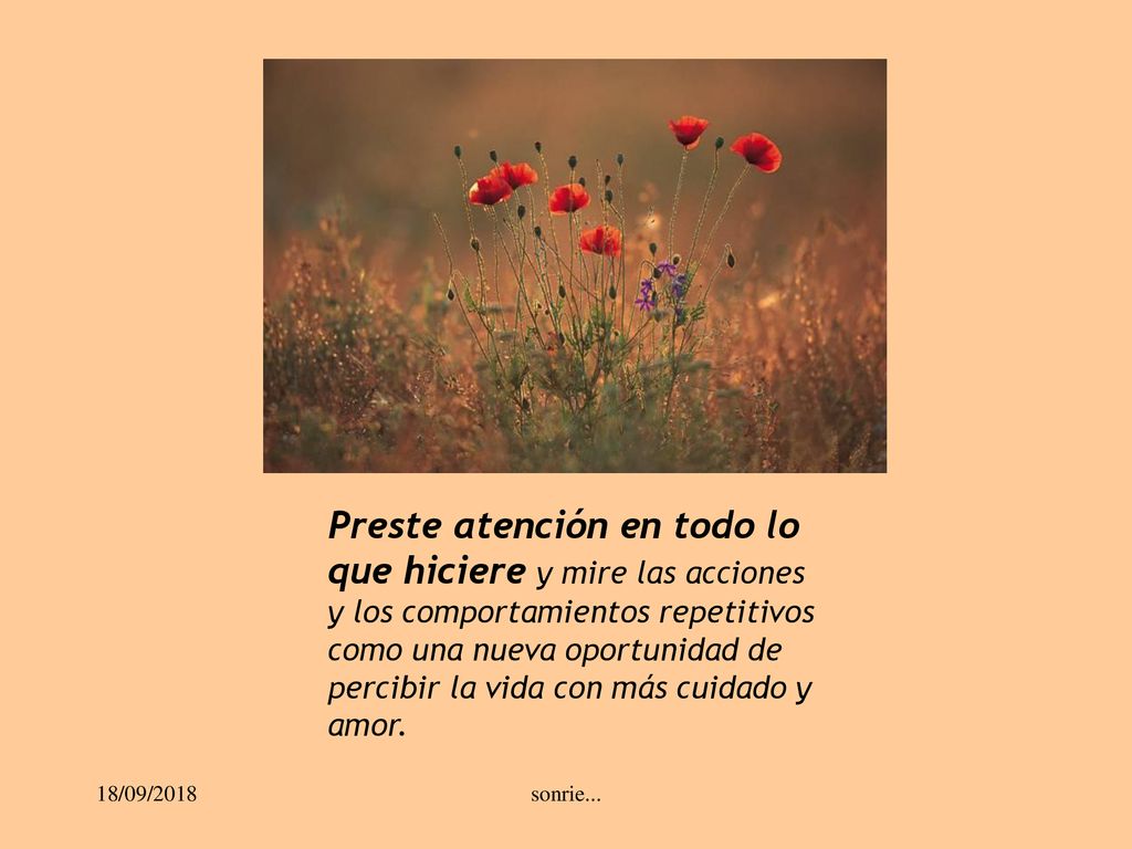 Preste atención en todo lo que hiciere y mire las acciones y los comportamientos repetitivos como una nueva oportunidad de percibir la vida con más cuidado y amor.