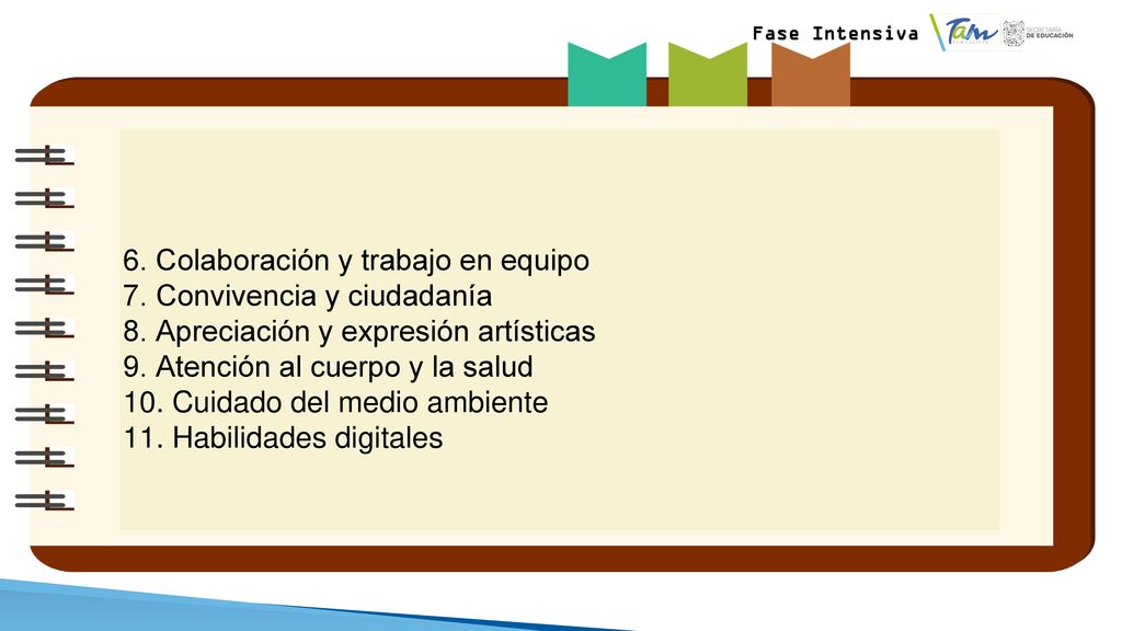 6. Colaboración y trabajo en equipo 7. Convivencia y ciudadanía