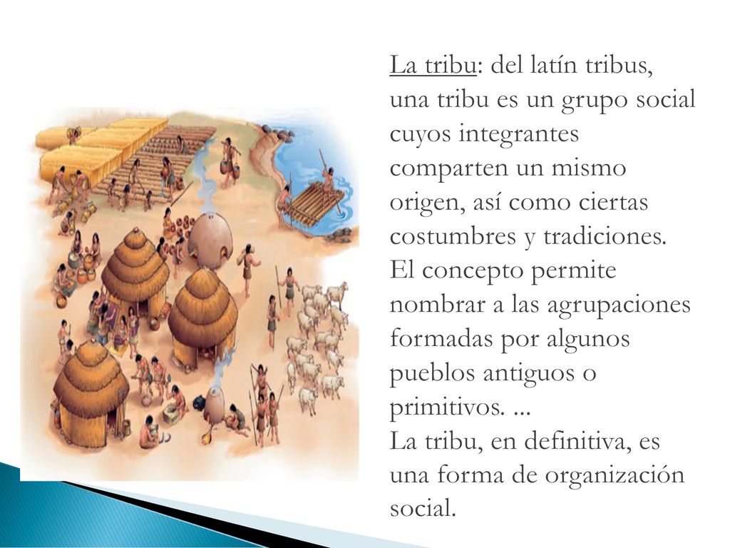 La tribu: del latín tribus, una tribu es un grupo social cuyos integrantes comparten un mismo origen, así como ciertas costumbres y tradiciones.