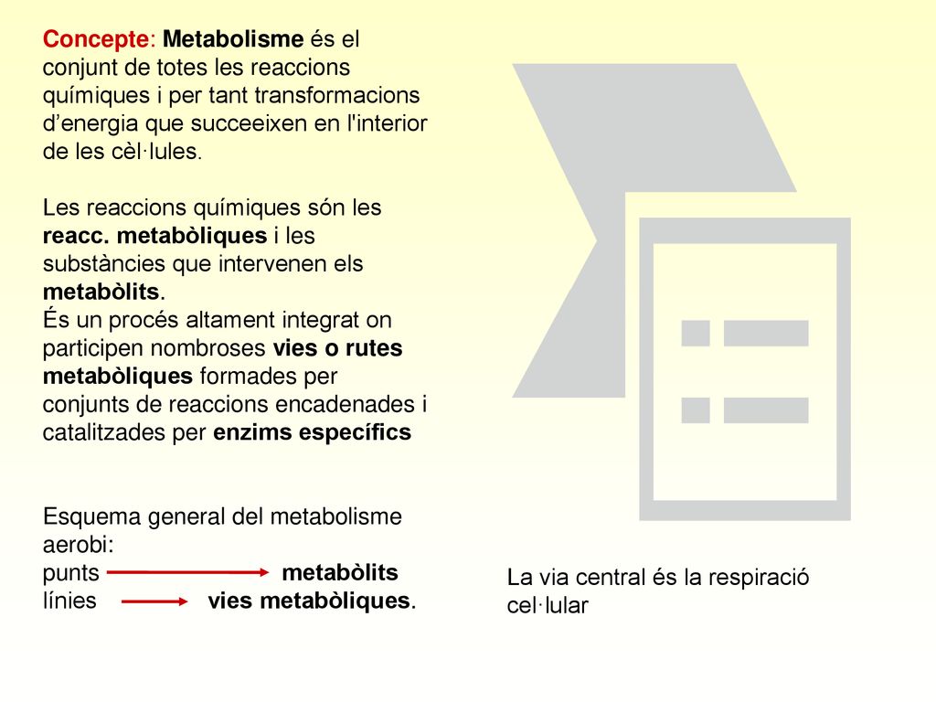Concepte: Metabolisme és el conjunt de totes les reaccions químiques i per tant transformacions d’energia que succeeixen en l interior de les cèl·lules.
