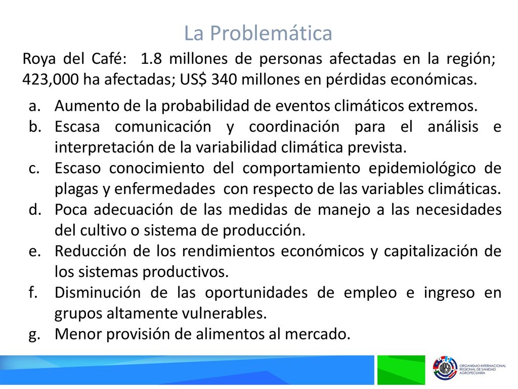 La Problemática Roya del Café: 1.8 millones de personas afectadas en la región; 423,000 ha afectadas; US$ 340 millones en pérdidas económicas.