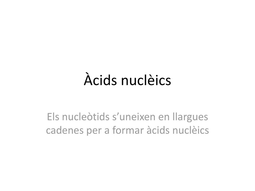 Àcids nuclèics Els nucleòtids s’uneixen en llargues cadenes per a formar àcids nuclèics