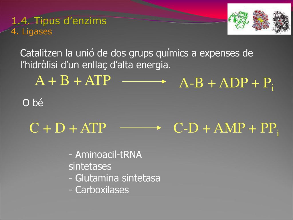A + B + ATP A-B + ADP + Pi C + D + ATP C-D + AMP + PPi