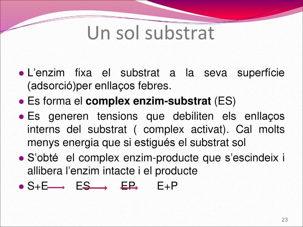 Un sol substrat L’enzim fixa el substrat a la seva superfície (adsorció)per enllaços febres. Es forma el complex enzim-substrat (ES)