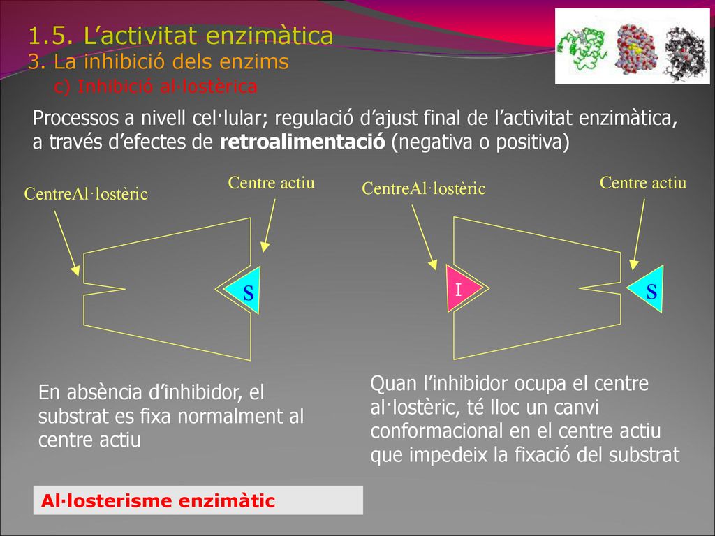s s 1.5. L’activitat enzimàtica 3. La inhibició dels enzims