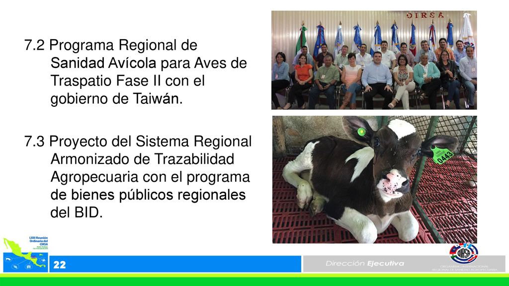 7.2 Programa Regional de Sanidad Avícola para Aves de Traspatio Fase II con el gobierno de Taiwán. 7.3 Proyecto del Sistema Regional Armonizado de Trazabilidad Agropecuaria con el programa de bienes públicos regionales del BID.