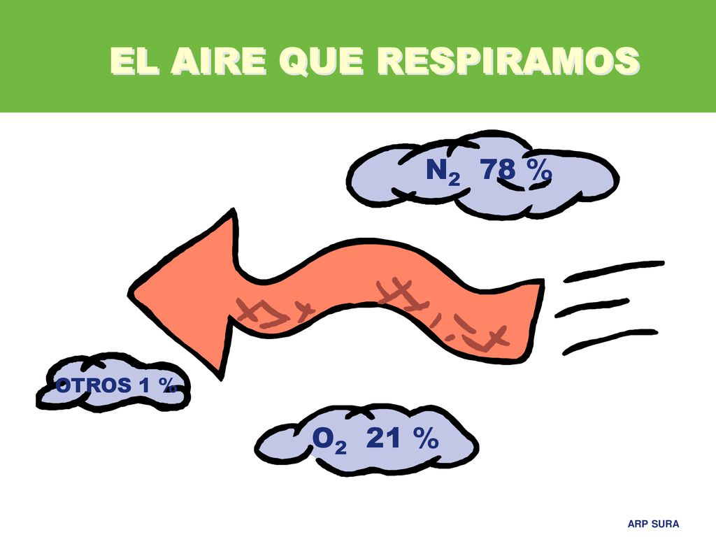 EL AIRE QUE RESPIRAMOS N2 78 % OTROS 1 % O2 21 %