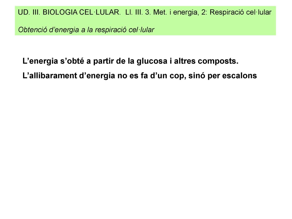 L’energia s’obté a partir de la glucosa i altres composts.