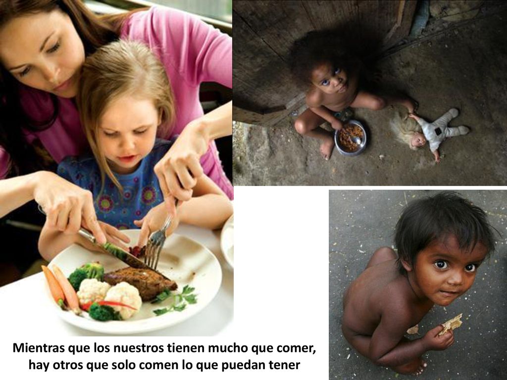 Mientras que los nuestros tienen mucho que comer, hay otros que solo comen lo que puedan tener