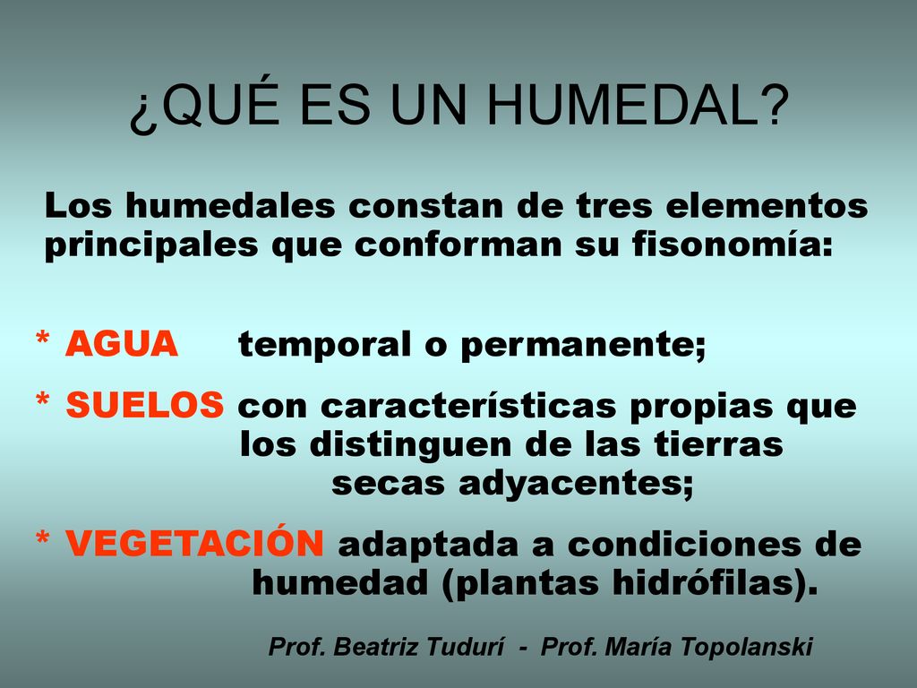 ¿QUÉ ES UN HUMEDAL Los humedales constan de tres elementos principales que conforman su fisonomía: