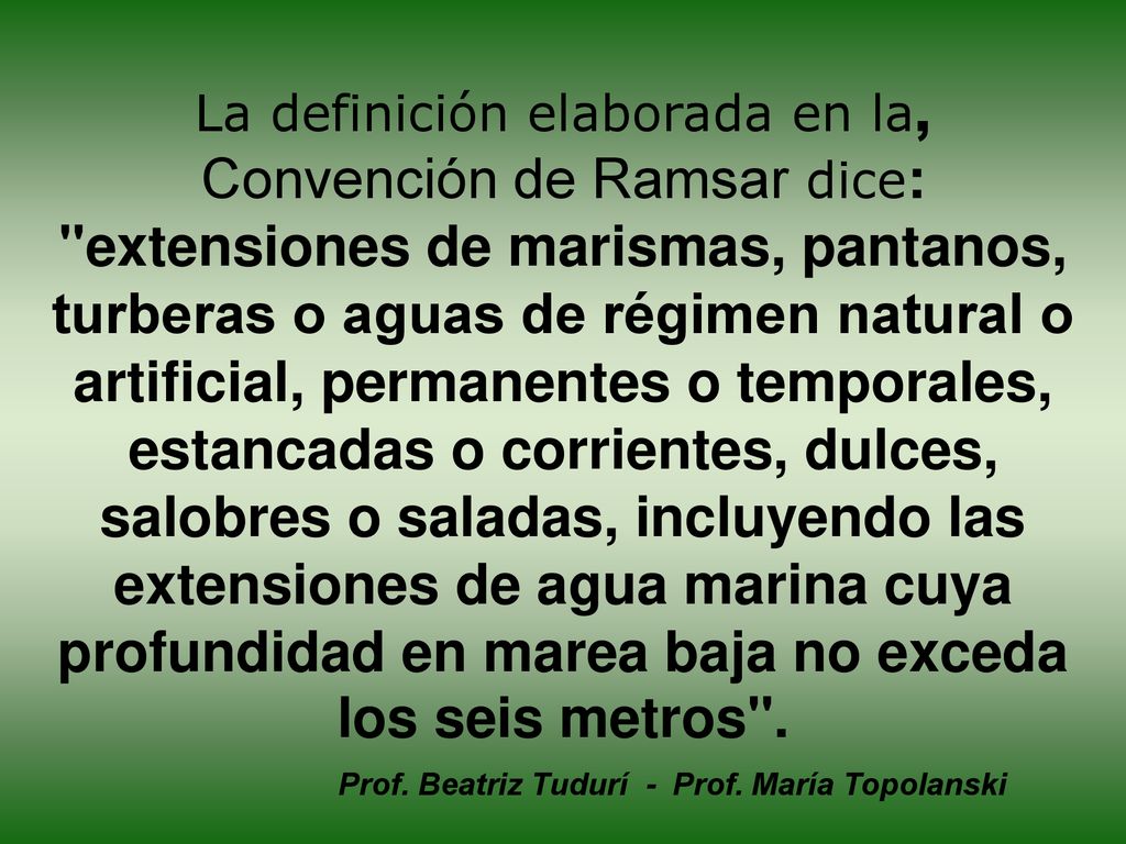 La definición elaborada en la, Convención de Ramsar dice: extensiones de marismas, pantanos, turberas o aguas de régimen natural o artificial, permanentes o temporales, estancadas o corrientes, dulces, salobres o saladas, incluyendo las extensiones de agua marina cuya profundidad en marea baja no exceda los seis metros .