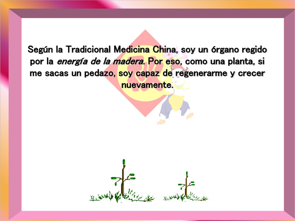 Según la Tradicional Medicina China, soy un órgano regido por la energía de la madera.