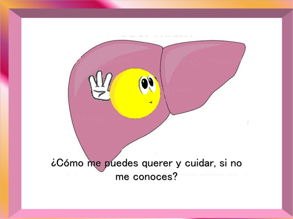 ¿Cómo me puedes querer y cuidar, si no me conoces