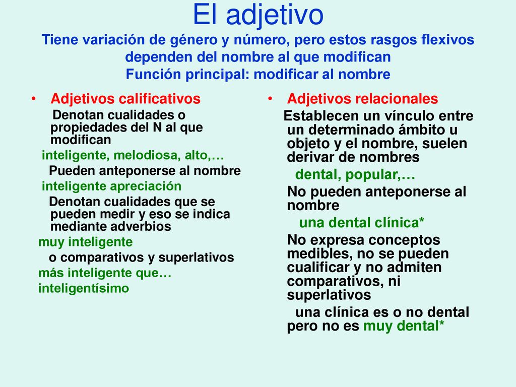 El adjetivo Tiene variación de género y número, pero estos rasgos flexivos dependen del nombre al que modifican Función principal: modificar al nombre