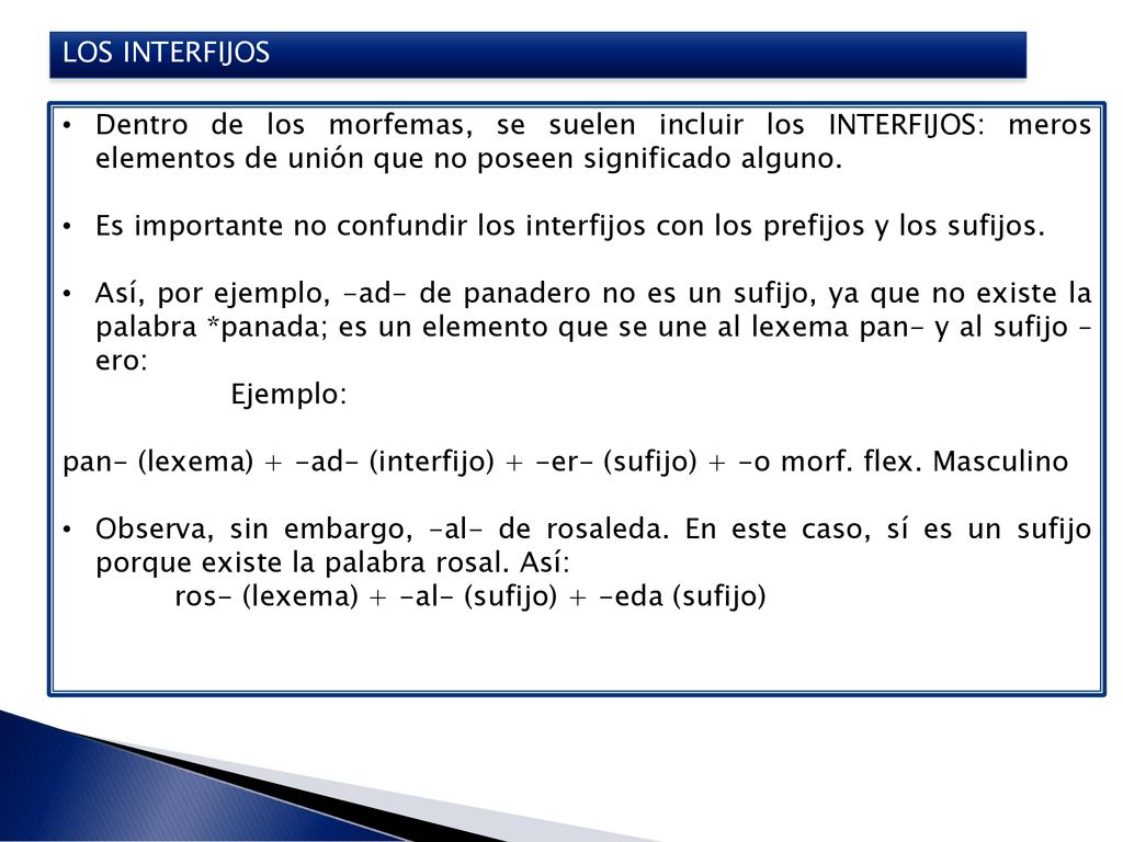 LOS INTERFIJOS Dentro de los morfemas, se suelen incluir los INTERFIJOS: meros elementos de unión que no poseen significado alguno.