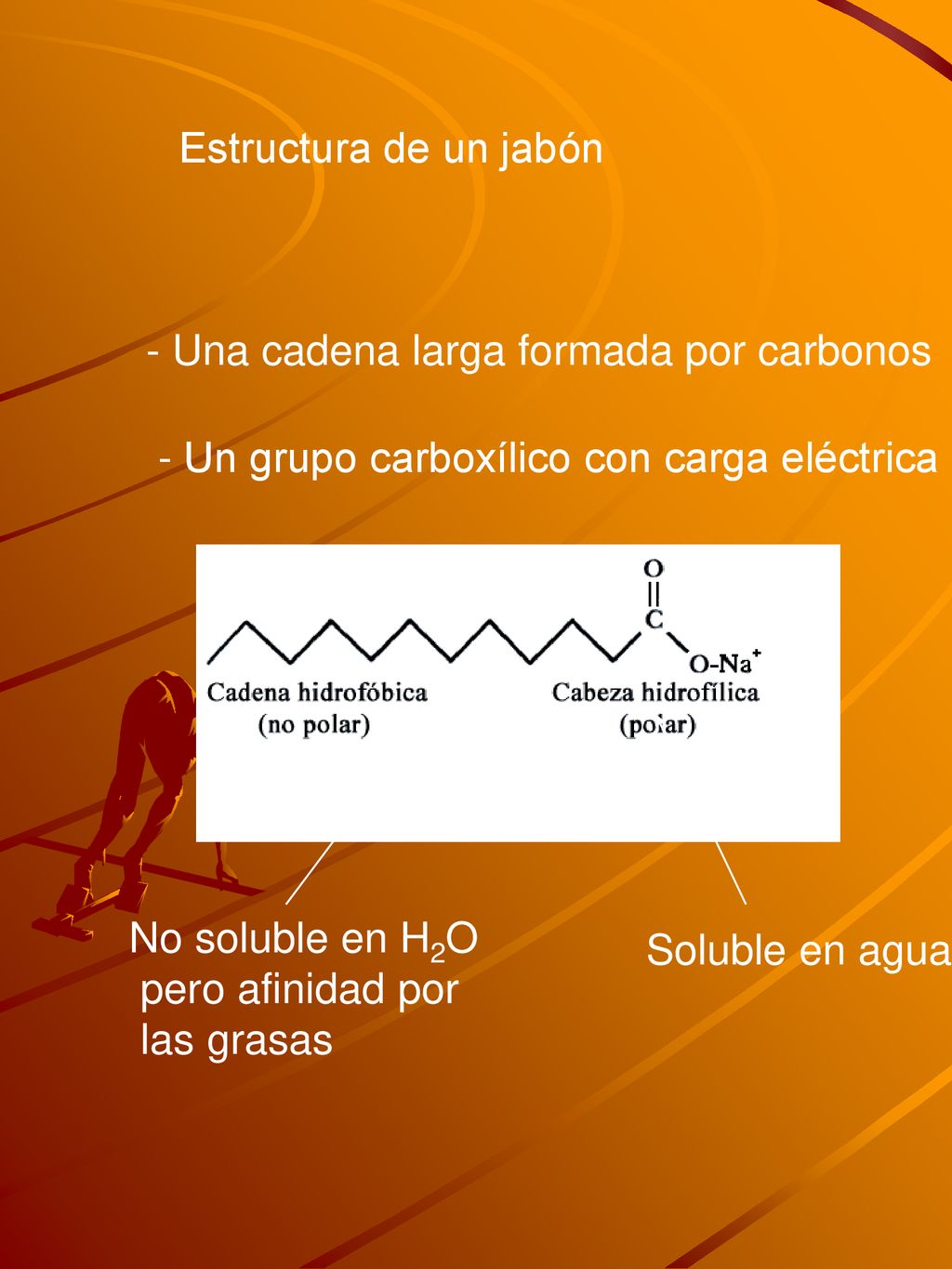 Estructura de un jabón - Una cadena larga formada por carbonos. - Un grupo carboxílico con carga eléctrica.